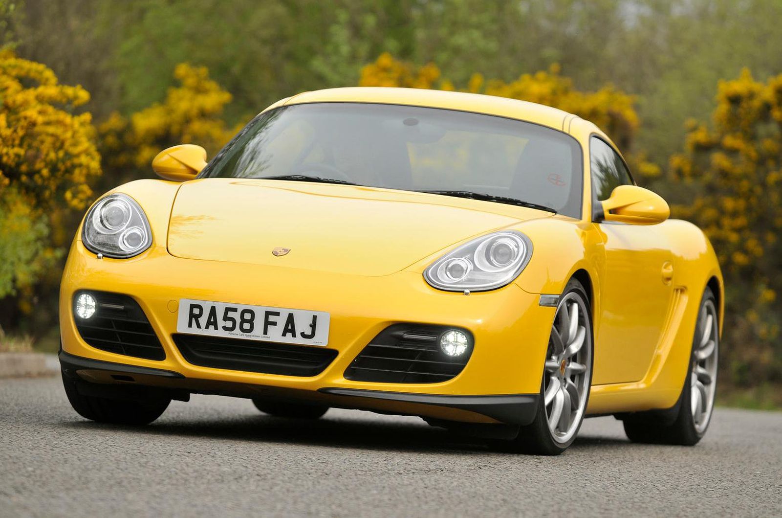 Porsche Cayman Coupe (05 - 13)